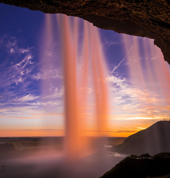 herbal tea healthy food